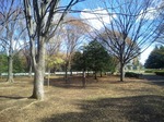 DVC00050.jpg