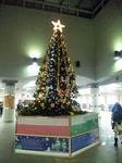 DVC00058.jpg