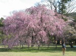 IMG_1589.jpg
