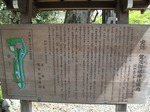 IMG_1659.jpg