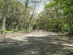 IMG_1668.jpg