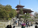IMG_1723.jpg