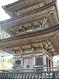 IMG_1771.jpg
