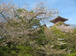 IMG_1792.jpg
