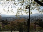 IMG_1800.jpg