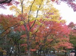 IMG_1967.jpg