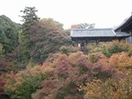 IMG_1971.jpg