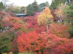 IMG_1974.jpg