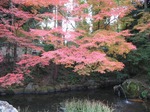 IMG_2031.jpg
