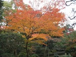 IMG_2032.jpg